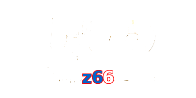 z66